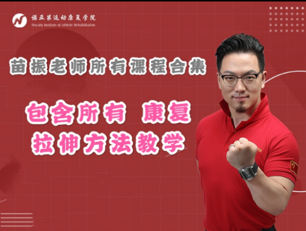 苗振诺亚第拉伸疗法医师专修班全集视频教程插图1