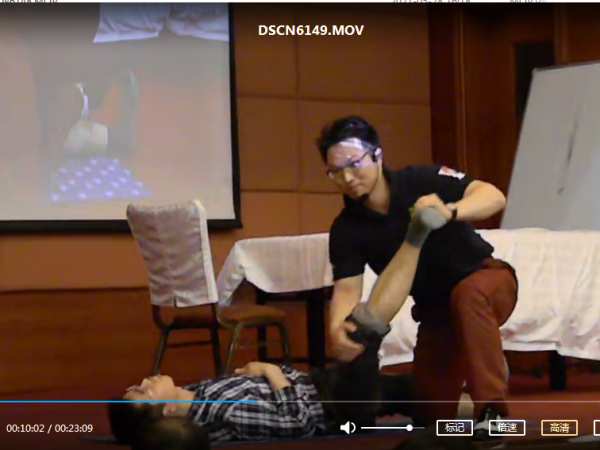 苗振诺亚第拉伸疗法医师专修班全集视频教程插图2