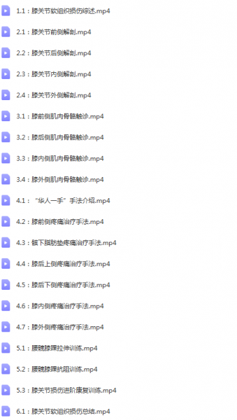 李建民华人一手软组织手法高清视频教程插图2