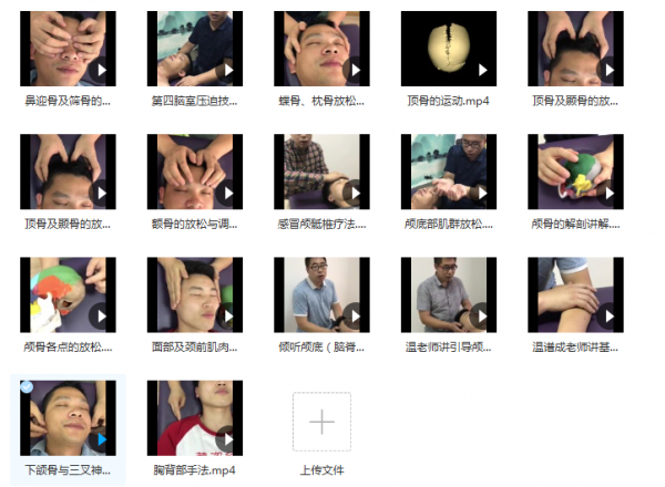 狄荣科温谱成颅骶疗法理论实操视频教程插图3