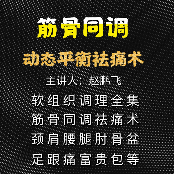 赵鹏飞筋骨同调动态平衡祛痛术视频教程插图1