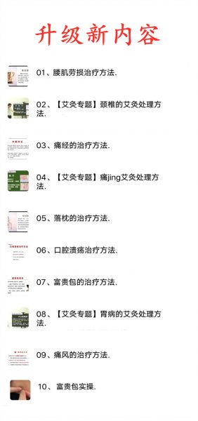 灵枢针灸初级精品班培训中医针灸视频教程全集插图11