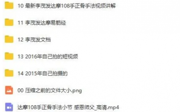 李茂发达摩治病一病一方达摩通脉正骨108手视频教程插图3