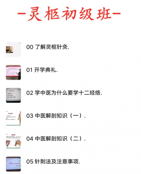 灵枢针灸初级精品班培训中医针灸视频教程全集插图2