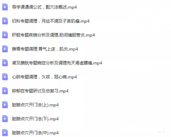 补土派脏腑点穴疗法初级班专业班视频教程插图5