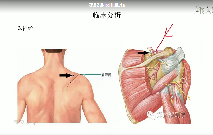 image-240