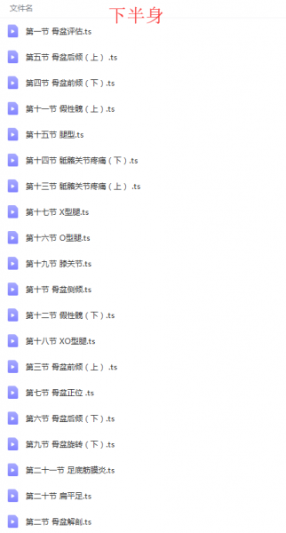 程婷全身二十三种问题理疗实战营富贵包圆肩驼背骨盆39节高清视频教程插图3