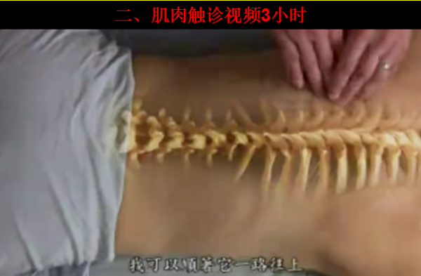 一套可以帮助您快速解决疼痛问题的疼痛必备中医视频教程插图3