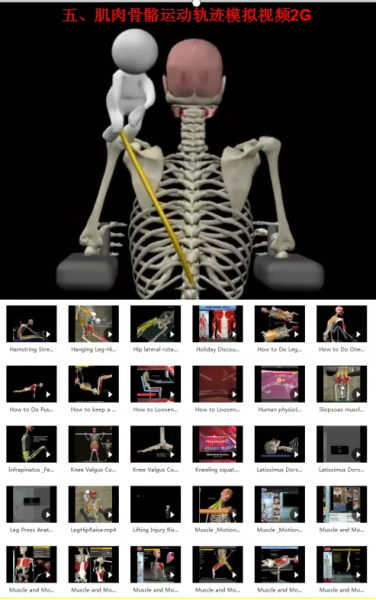 一套可以帮助您快速解决疼痛问题的疼痛必备中医视频教程插图6