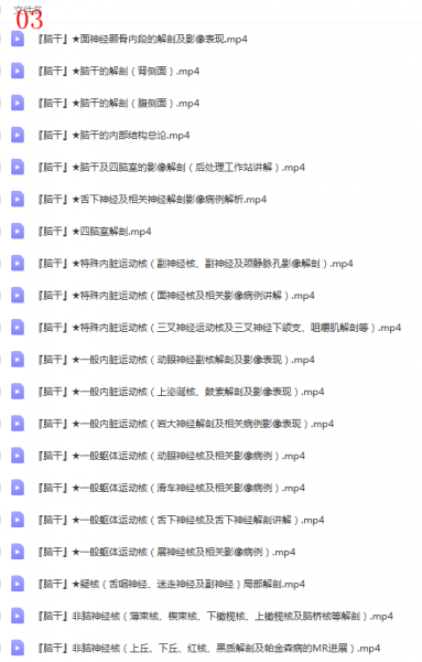 神经系统解剖进阶课高清视频教程全集插图5