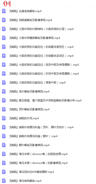 神经系统解剖进阶课高清视频教程全集插图7