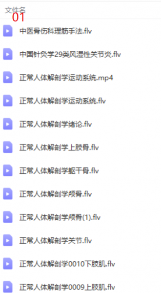 罗有明罗氏正骨颈肩腰腿痛中医正骨实操视频教程插图3