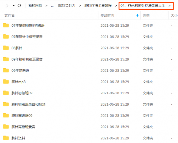 齐永夏连红脐针疗法课程全套中医针灸视频教程插图6