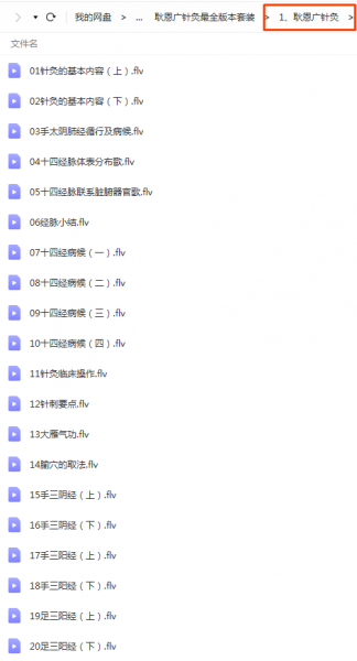 耿恩广最全针灸取穴课程中医针灸视频教程插图3