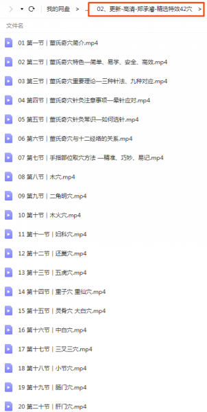 董氏奇穴针灸内部资料最全高清视频教程插图5